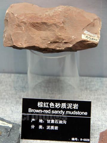 希望明天能出泥岩截图