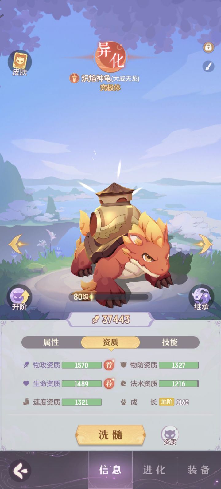 一起养小乌龟截图
