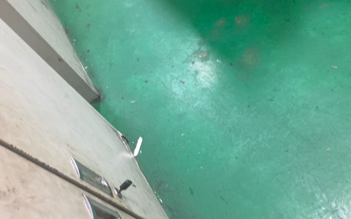 佐二愣子永远是最帅的截图