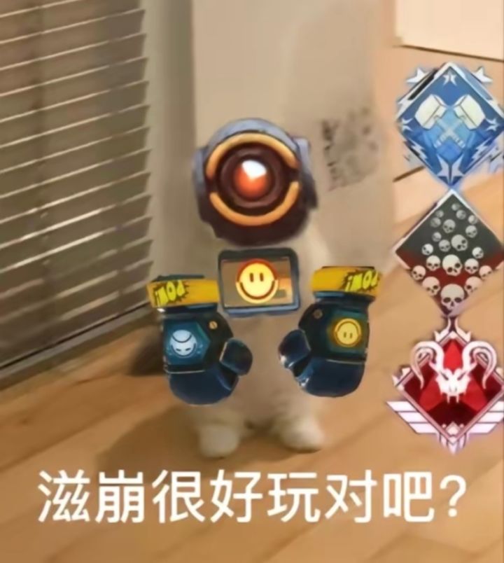 资格是还没开始发吗截图