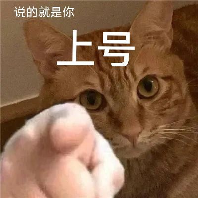 群宣截图