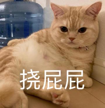 428创造日社区服更新攻略（作者：蛋蛋）