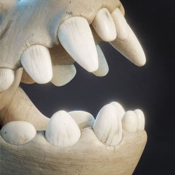 【赛事】Fire Fiera🏆