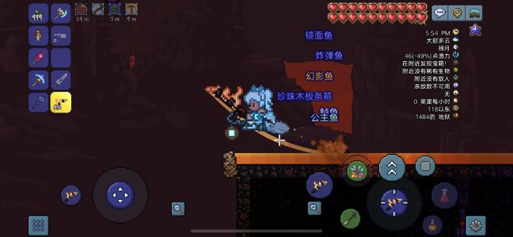 云玩鉴定图截图