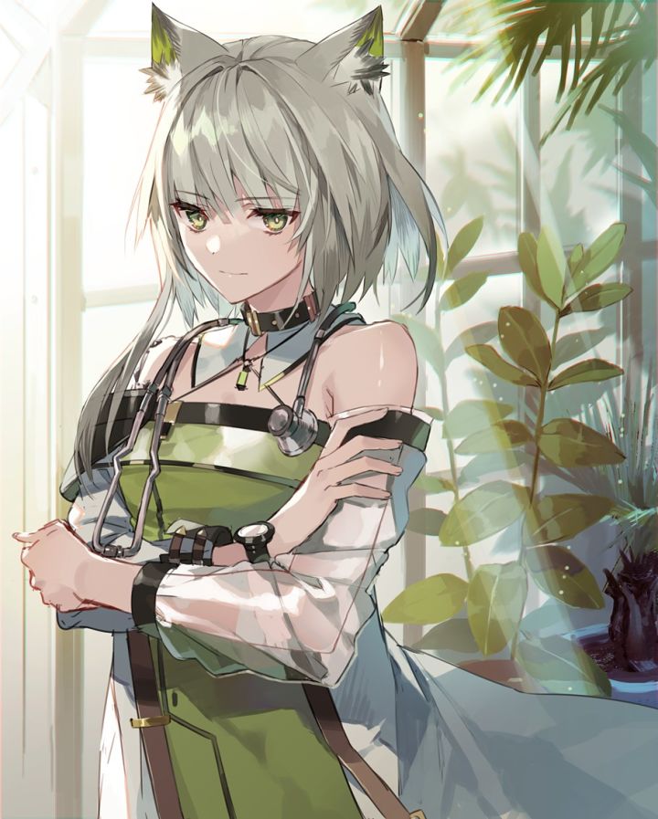 ԅ(¯ㅂ¯ԅ)截图