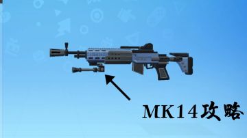 【枪械指导】 MK14基础攻略以及进阶攻略
