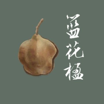 老农种树三周年更新内容