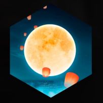 〈公告〉活动：花开月下