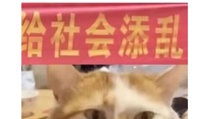芜湖，出货了截图