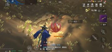 北山攻略：神草篇（附北辰宝箱攻略）