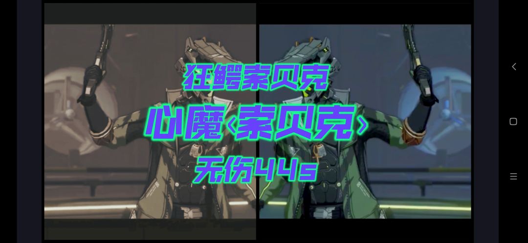video-3029611