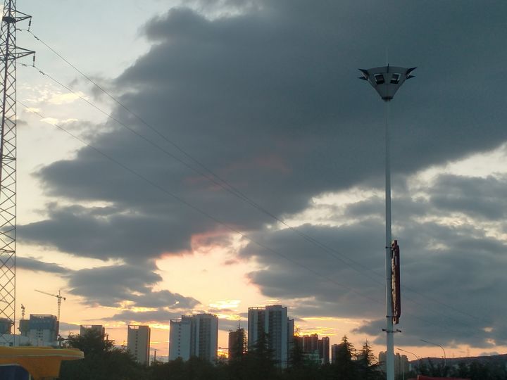 花花草草和树 还有我截图