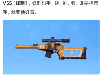不推荐武器第二期٩(๑•ㅂ•)۶VSS射手步枪