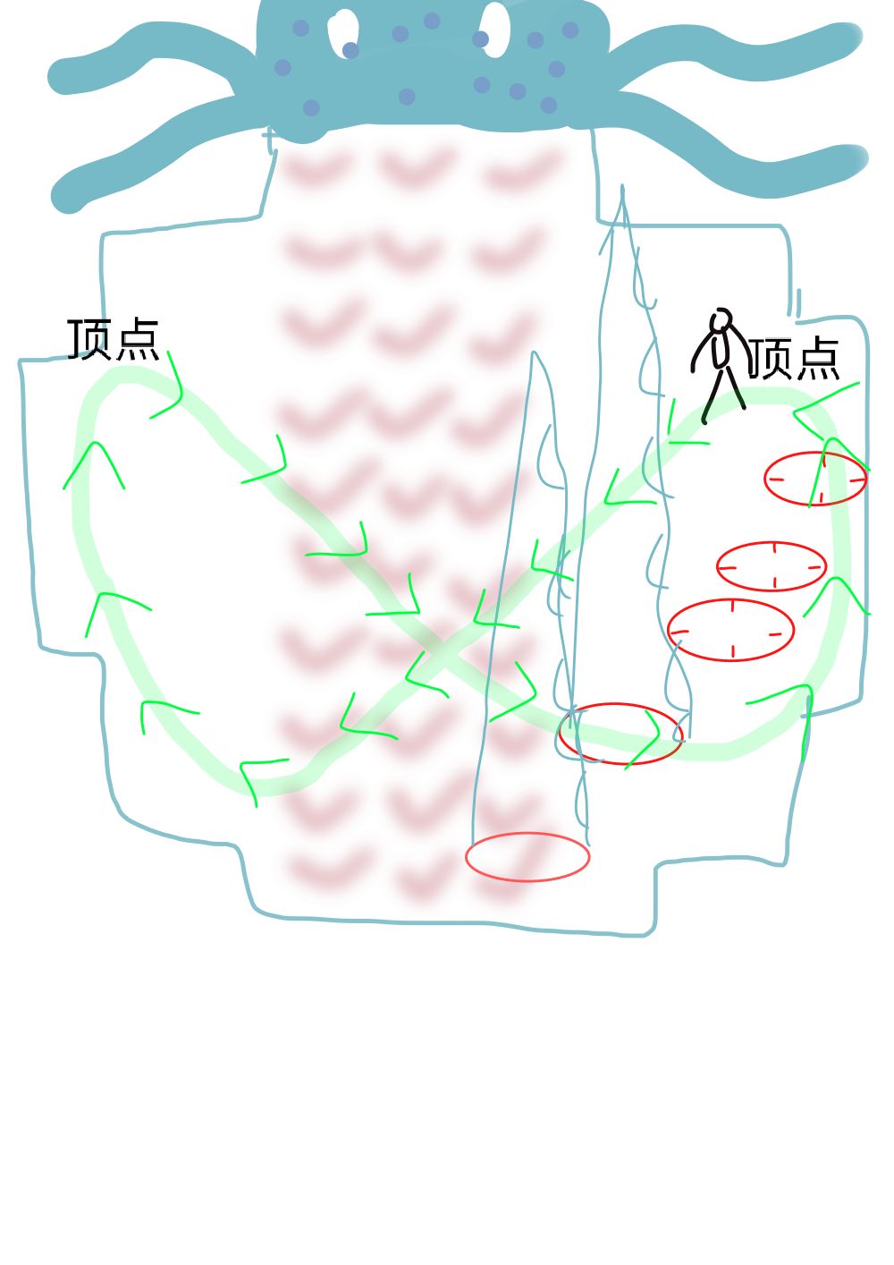 图解蛇皮走位无伤克拉肯截图