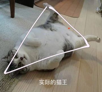 守护南瓜打法：（不用迷惑药剂版）