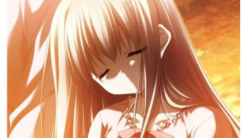 萌新攻略——定位向