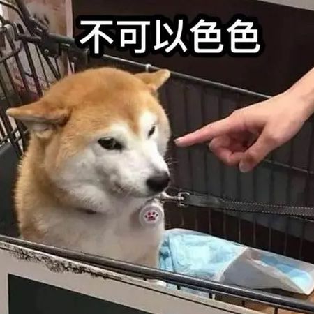 萌新。大佬们有什么坑吗截图