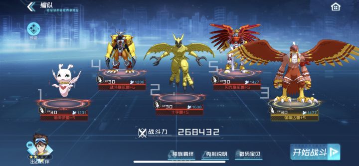 玩了两天火队终于成了截图
