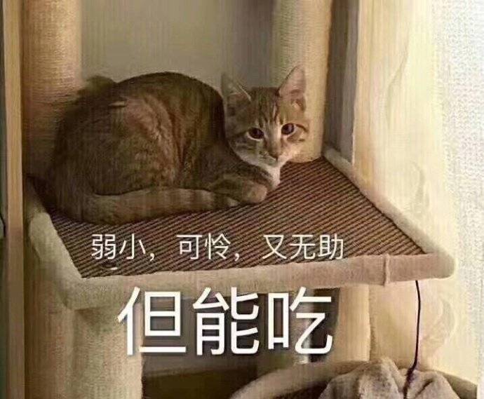 萌新想请教关于使魔的问题截图