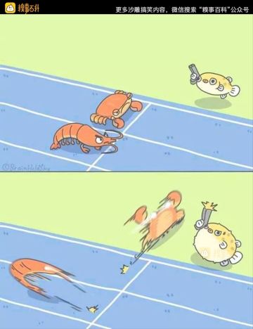 来点沙雕图【108】