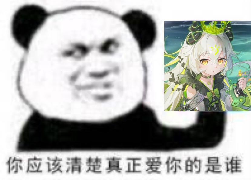关于白毛永动队的核心配队思路截图
