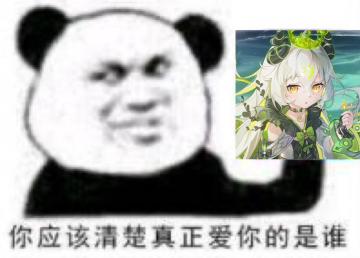 关于白毛永动队的核心配队思路