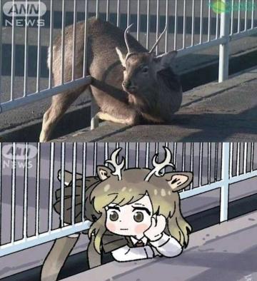 福地65东方69左长老全解攻略，便宜打法