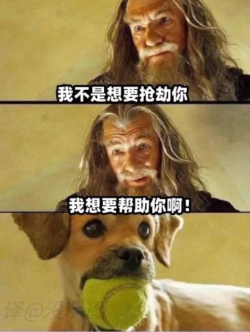 新手不劝退攻略(帖子会不停更新)