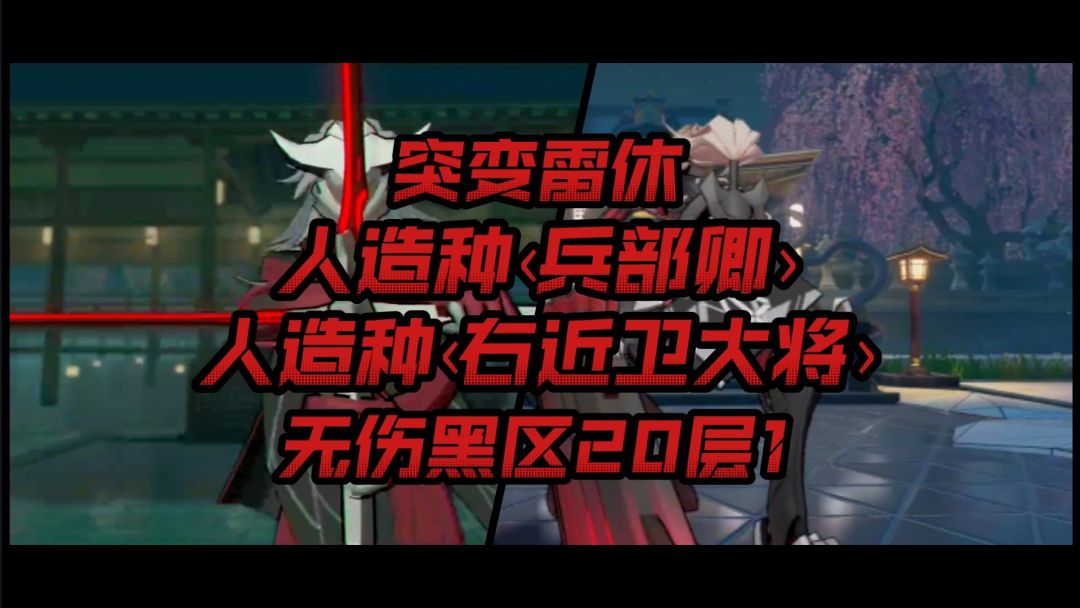 video-3069173