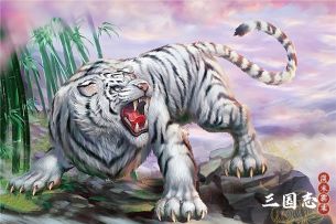 目前最新版四大神兽白虎详细打法攻略