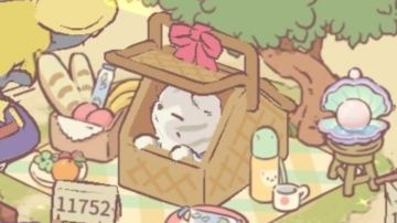 猫咪们的体力设施&活动设施