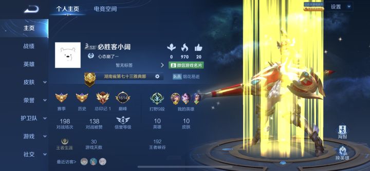 微信区找个王者以上队友,不坑,中规中矩截图
