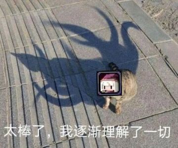 [猛新向][第二期]异界我唯唯诺诺，深渊我重拳出击——新手游侠速成记录11.4