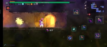 细胞最多的路线