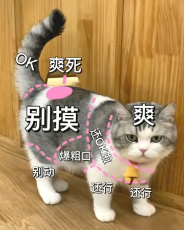 【试玩后感】一些个人的建议和看法（重点在角色的定位自由和方向构造）