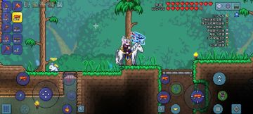 纯游侠生存-额外篇章(3) 肉山前的最后准备