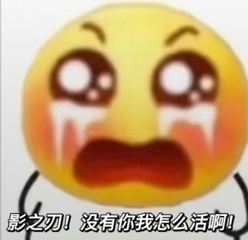 没有影之刃的世界，注定一片黑暗