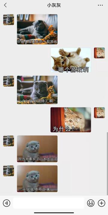 【表情包专栏】太上头了，喜欢就停不下来