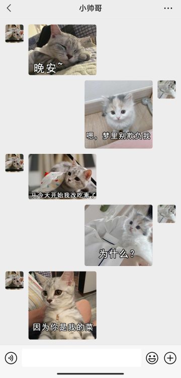 【表情包专栏】晚安小宝贝，今后你就是我的菜