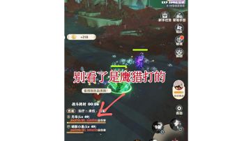 自然系射手全技能组深度解析+点评