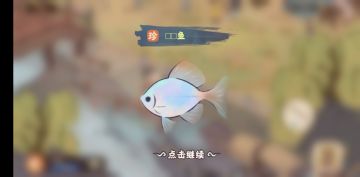 钓鱼佬的一点钓鱼心得