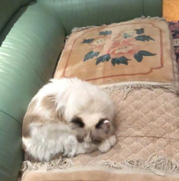 开发日记 2022.4.28