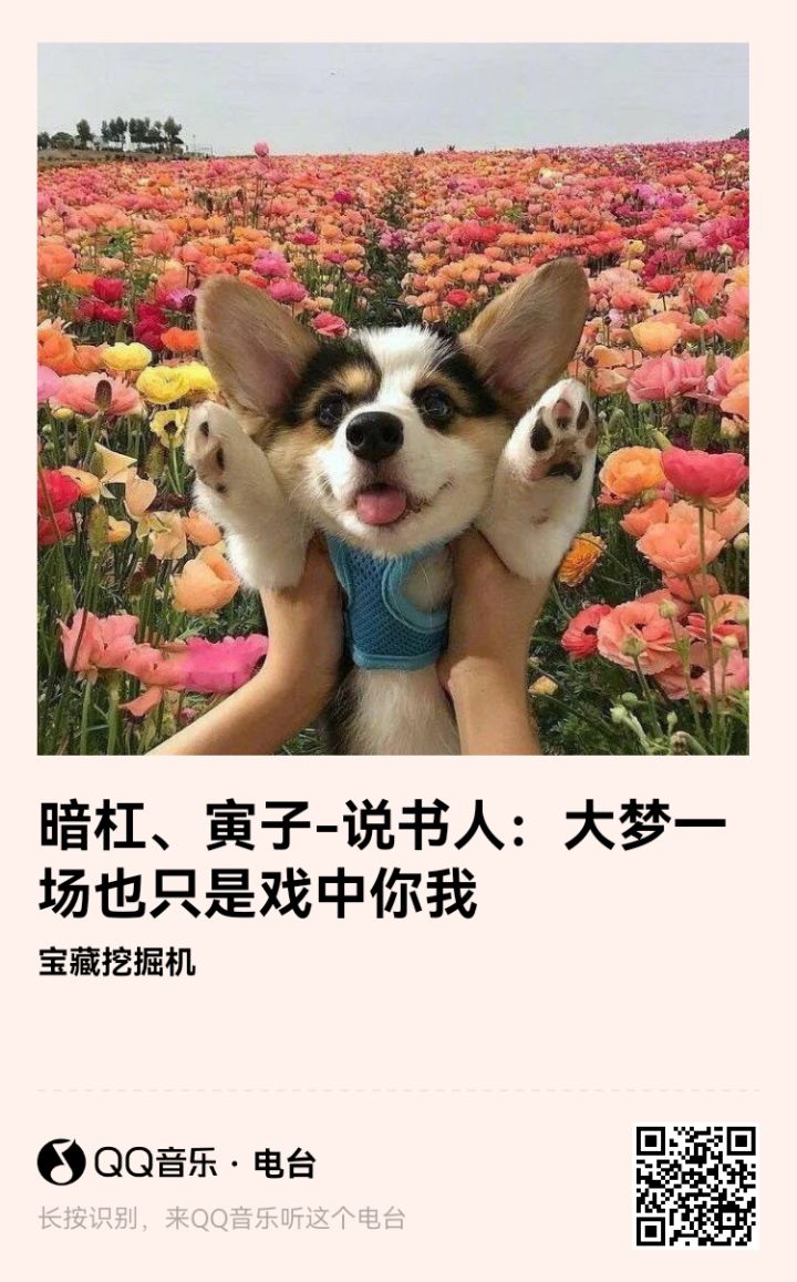 每日一首歌截图