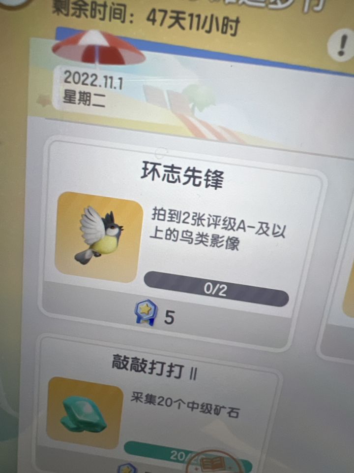 这个鸟类怎么拍啊截图