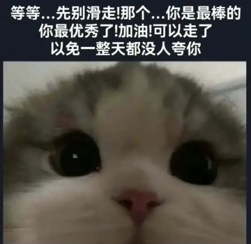 呼朋引伴！群聊组织看这里！