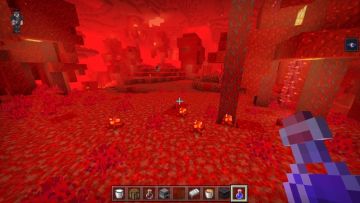 《永夜森林体系》