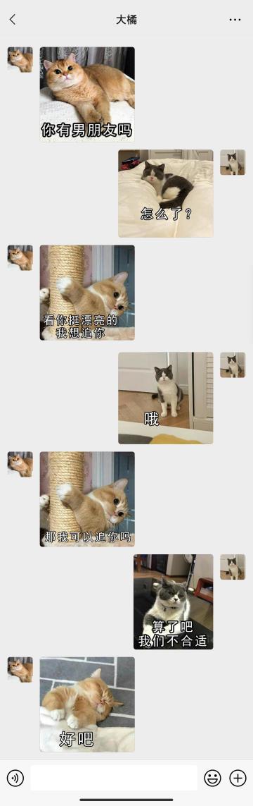 【表情包专栏】大橘今天表白又被拒了，下次继续努力！