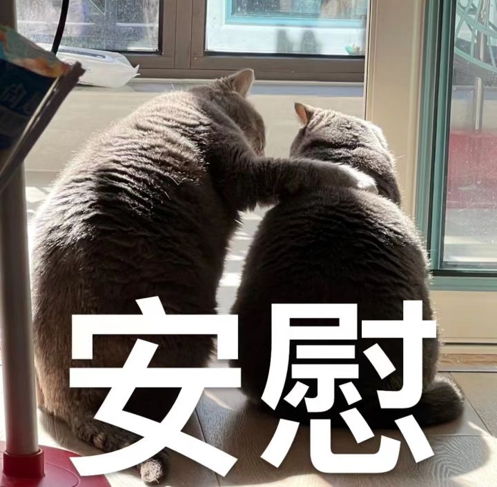 原神好玩吗截图