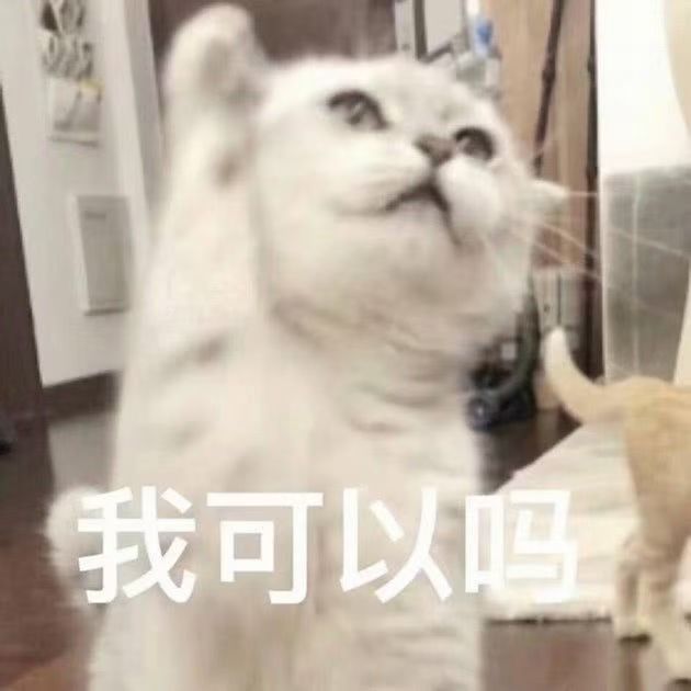 【魂的生活小能手】截图