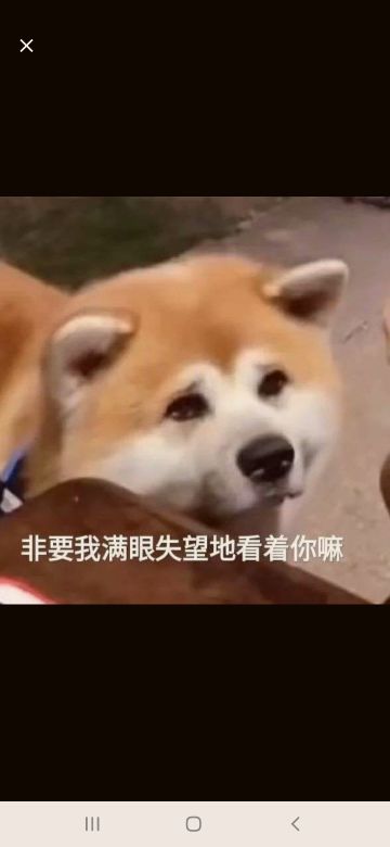 【大概是答疑贴】<长期有效>